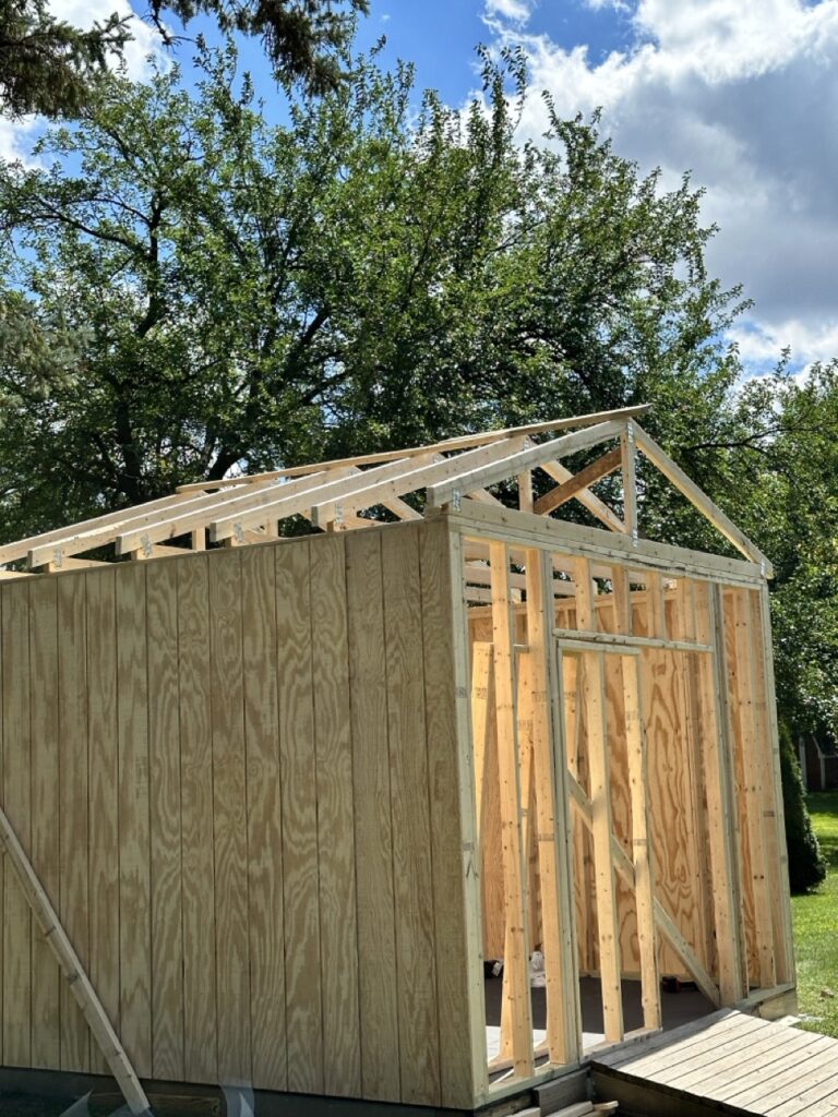 Shed with all walls up and trusses added.
